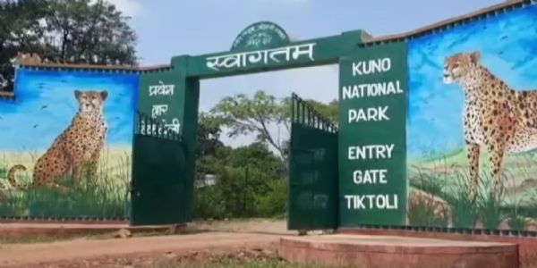 सांकेतिक। सांकेतिक।