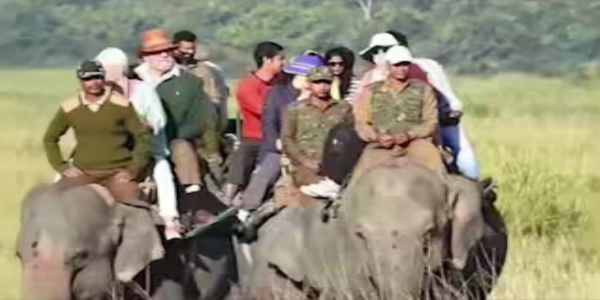 काजीरंगा राष्ट्रीय उद्यान में एक नवंबर से शुरू होगी हाथी सफारी