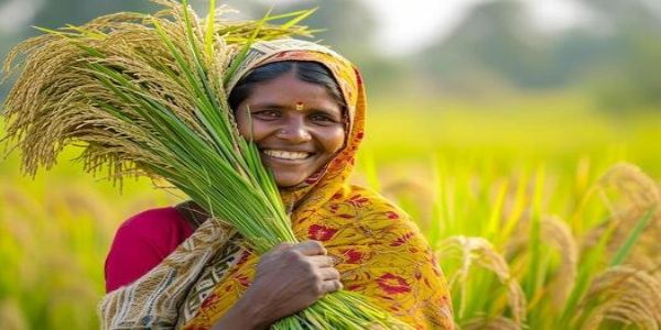 जीरे की वैज्ञानिक खेती से बढ़ेगी किसानों की आय