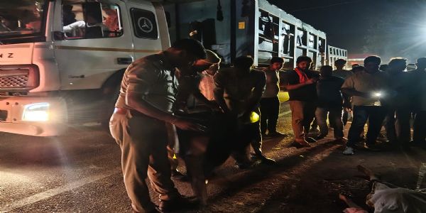हाईवे के गड्ढे में घुसी बाइक तो छात्र उछल कर डंपर की नीचे आया, मौत