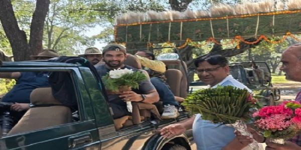 ओलंपियन नीरज चोपड़ा और गगन नारंग का बांधवगढ़ में सफारी के दौरान स्वागत करते हुए अधिकारी ओलंपियन नीरज चोपड़ा और गगन नारंग का बांधवगढ़ में सफारी के दौरान स्वागत करते हुए अधिकारी