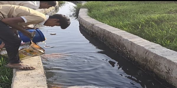 औरैया में 38,800 रुपये कीमत की दूषित मिठाई नष्ट, जंग लगे कनस्तर में रखे थे रंगीन रसगुल्ले