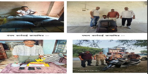 छह जिलों में एएनटीएफ का ‘सिक्सर’: 424 किलो से अधिक मादक पदार्थ जब्त डोडा पोस्त