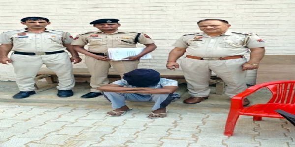 हिसार : भेड़ें चरा रहे युवक पर आठ युवकों ने बोला हमला, एक आरोपी गिरफ्तार