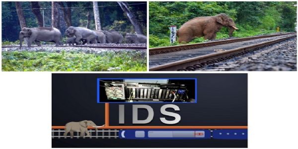 पूसीरे ने वन्यजीवों की सुरक्षा के लिए उठाए सक्रिय कदम