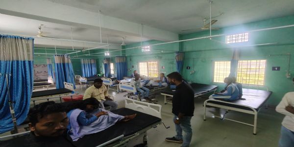 विजयनगर स्कूल में मधुमक्खियों का हमला, 11 बच्चे और दो शिक्षक घायल; चार छात्र बलरामपुर रेफर