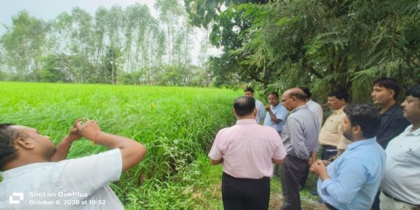 बांदा : नीति आयोग की टीम ने आकांक्षी विकासखंड का भ्रमण किया, जैविक ग्राम में खेती देखी