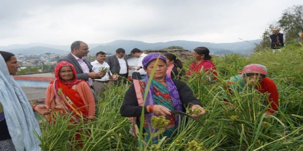खेत में किसानों के साथ उतरे डीएम, मडुआ की फसल की कराई क्रॉप कटिंग