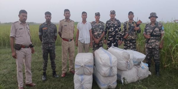 एसएसबी और बिहार पुलिस की संयुक्त कार्रवाई में 235 किलो गांजा बरामद