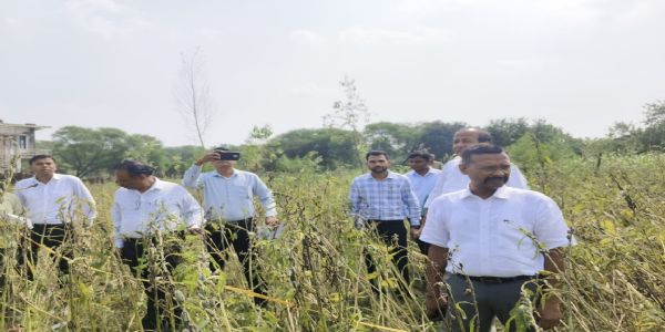 जिलाधिकारी ने क्रॉप कटिंग में कराई तिल की फसल कटाई व तौल