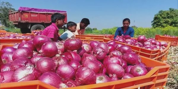 पश्चिम मेदिनीपुर में प्याज की बढ़ती कीमतों पर प्रशासन ने कसी निगरानी