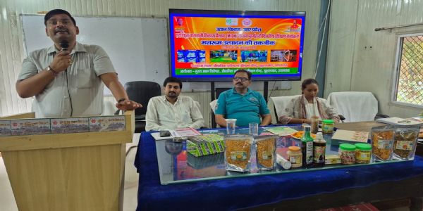 हर माह अंतिम शनिवार-रविवार को होगा मशरूम उत्पादन प्रशिक्षण : डॉ. वीरेंद्र सिंह