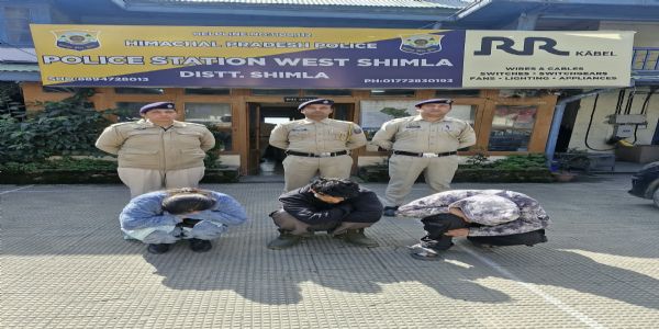 शिमला में वाहन से चिट्टा बरामद, युवती सहित तीन गिरफ्तार