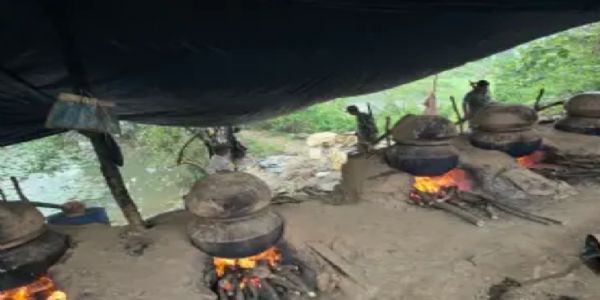 उत्पाद विभाग ने 12 हजार किलो जावा महुआ किया जब्त