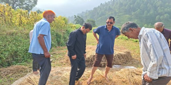 पुनाणु गांव में धान की मंडाई कर पूर्व मंत्री धनाई ने दिया समृद्ध किसान का संदेश