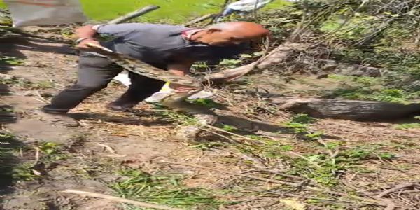 अजगर निकलने से मचा हड़कंप, बागतराई राँवा गांव में किया गया रेस्क्यू ऑपरेशन