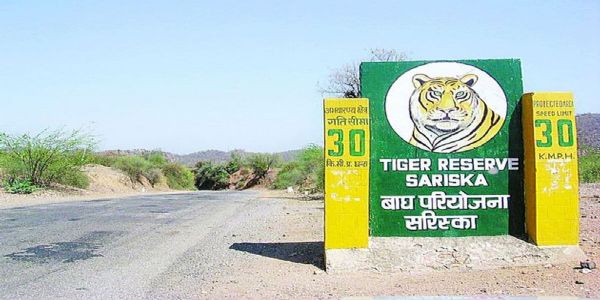 वन्यजीव संरक्षण और मानव–वन्यजीव संघर्ष रोकने के लिए विशेष सेल बनेगा