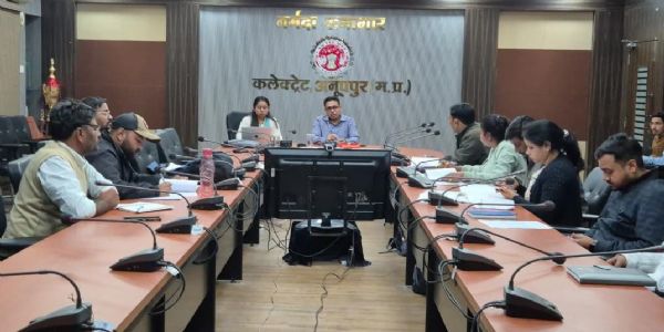 अनूपपुर: क्रियाशील घरेलू नल कनेक्शन के शेष कार्य फरवरी अंत तक करें पूर्ण- कलेक्टर