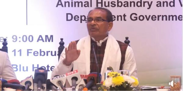 केंद्रीय बजट ने नॉर्थईस्ट पर फोकस के साथ विकसित भारत के लिए मजबूत नींव रखी : शिवराज