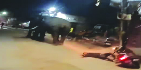 रिहायशी इलाके में घुसे जंगली हाथी, स्कूटी सवार खंभे से टकराया