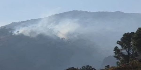 अपर यमुना वन प्रभाग के जंगलों में लगी आग