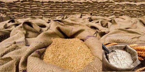 गेहूं के लोगो का प्रतीकात्मक चित्र गेहूं के लोगो का प्रतीकात्मक चित्र