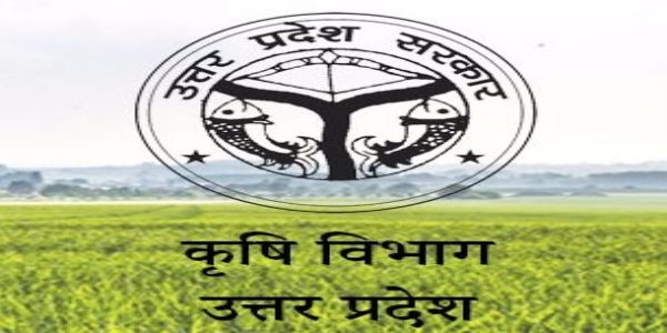 उत्तर प्रदेश में नकली बीजों पर लगेगी नकेल, गुणवत्ता का पूरा ब्यौरा देगा साथी पोर्टल