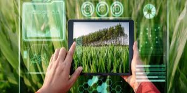 एआई एग्री पाइलट करेगा बालकनी में ऑटोमैटिक बागवानी