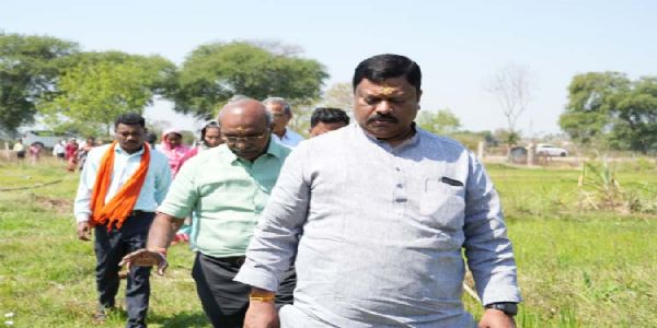 छत्तीसगढ़ को हर्बल ग्रोथ इंजन बनाने की दिशा में तेजी से काम कर रहा बोर्ड : अध्यक्ष विकास मरकाम