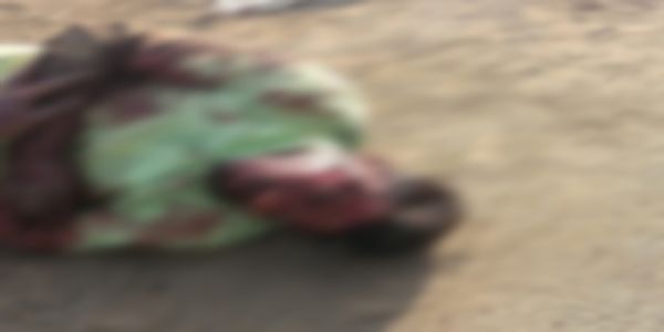 जांजगीर-चांपा : प्रैक्टिकल परीक्षा देने जा रहे युवक की गाय से टक्कर, सींग आंख में घुसा, हालत गंभीर