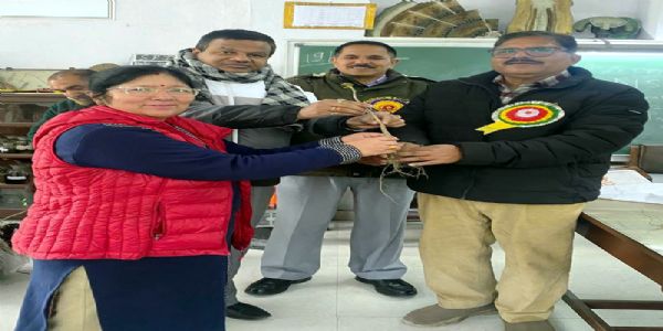 डीएसबी परिसर में पौध वितरण कार्यक्रम, 150 पौधे वितरित