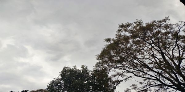 उत्तराखंड में ऊंचाई वाले क्षेत्रों में हल्की बारिश, बर्फबारी की संभावना, शेष जिलों में मौसम शुष्क