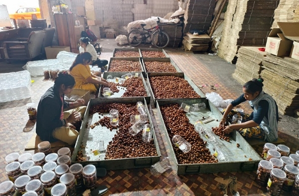 गंदगी में गुलाब जामुन बनाते हुए कर्मचारी