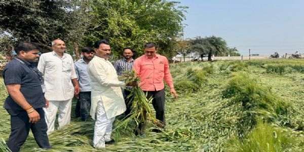 इंदौरः मंत्री सिलावट ने बेमौसम बारिश से प्रभावित क्षेत्रों में सर्वे करने के दिए निर्देश