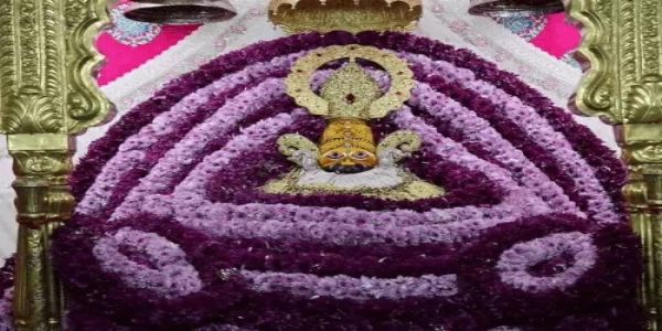 गुलाबी फूलों से सजा खाटूश्याम का दरबार, लाखों श्रद्धालुओं की उमड़ी भीड़