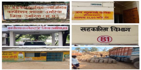 डेढ़ माह में 10 किमी भी नहीं पहुंचा ट्रक, साढ़े छह लाख की धान लापता; किसान भुगतान को भटक रहे