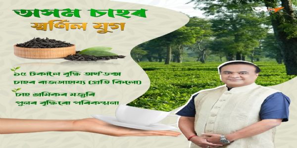 असम में ऑर्थोडॉक्स चाय पर अनुदान 10 से बढ़ाकर 15 रुपये प्रति किलो