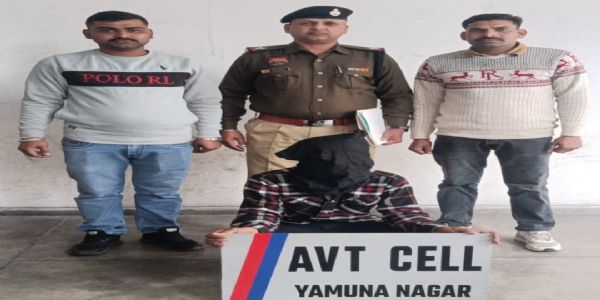 यमुनानगर:नाकाबंदी में चोरी की बाइक सहित युवक काबू, अदालत ने भेजा जेल