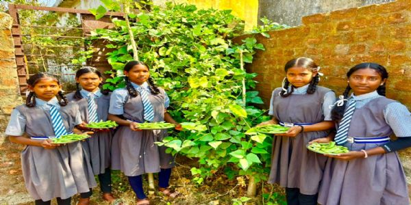 सूरजपुर : बगिया से थाली तक ताजा पोषण