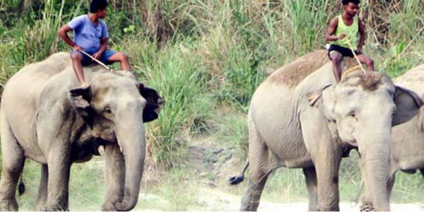 होली से पहले डुआर्स के संरक्षित वन क्षेत्रों में बढ़ाई गई सुरक्षा