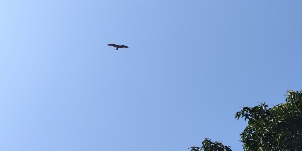 अगले दाे दिन में पर्वतीय क्षेत्रों में हल्की बारिश-बर्फबारी के आसार