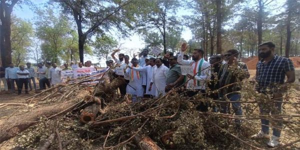 कांग्रेस का आरोप-राज्य सरकार विकास के नाम पर हरियाली का “कत्ल” कर रही