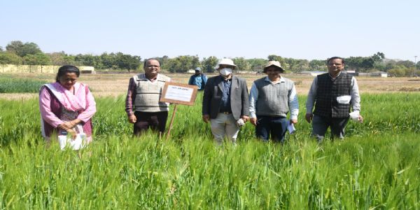 मॉनिटरिंग टीम ने की बीएयू में गेहूं और जौ के अनुसंधान कार्यों की सराहना