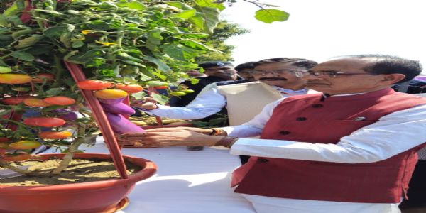 किसानों से समन्वय कर उन्नत तकनीकों को खेतों तक पहुंचाएं कृषि वैज्ञानिक: शिवराज सिंह चौहान