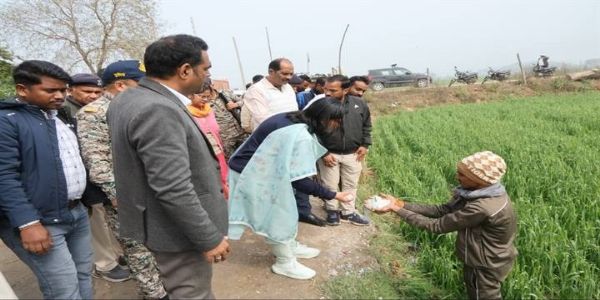 ग्वालियरः जिले में ओलावृष्टि की सूचना मिलने पर मौके पर पहुंची कलेक्टर, खेत-खेत जाकर किया मुआयना