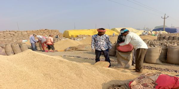 1001 किसानों में से 692 ने बेचा धान, कई किसानों को नहीं मिला मौका