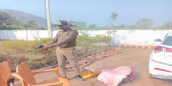 मीरजापुर में नीलगाय का मांस बरामद,आरोपित परिवार समेत फरार