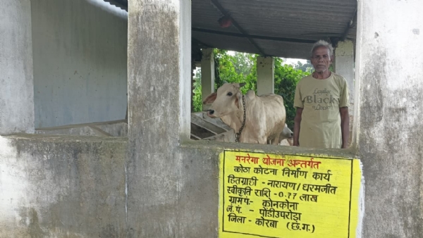 मनरेगा के पशु शेड निर्माण से नारायण को गौपालन में मिली नई राह, हितग्राही को आमदनी का बना नया माध्यम