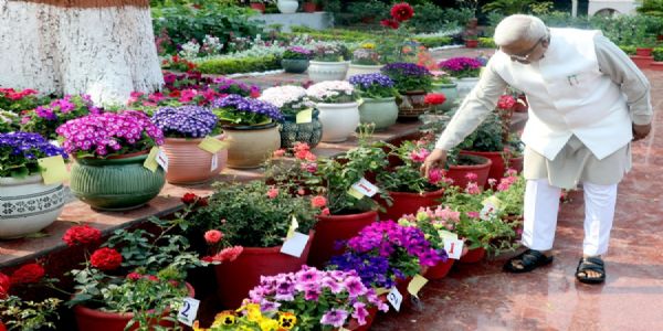 मेहनत और निष्ठा का प्रतिफल, पुरस्कार : राज्यपाल पटेल