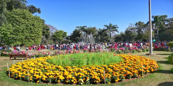 लोक भवन उद्यान देखने उमड़ रही भीड़, छठे दिन 1.18 लाख से अधिक लोगों ने किया भ्रमण